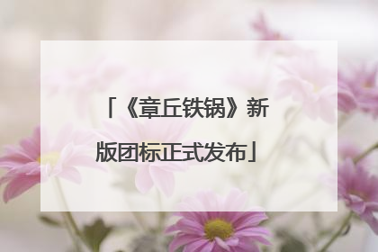 《章丘铁锅》新版团标正式发布