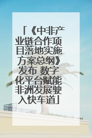 《中非产业链合作项目落地实施方案总纲》发布 数字化平台赋能非洲发展驶入快车道