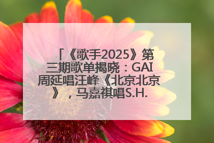 《歌手2025》第三期歌单揭晓：GAI周延唱汪峰《北京北京》，马嘉祺唱S.H.E《你曾是少年》