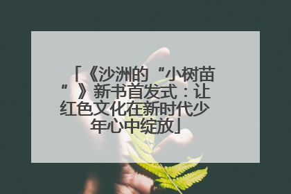 《沙洲的“小树苗”》新书首发式：让红色文化在新时代少年心中绽放