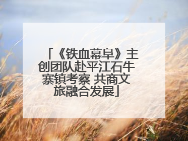 《铁血幕阜》主创团队赴平江石牛寨镇考察 共商文旅融合发展