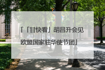 「甘快看」胡昌升会见欧盟国家驻华使节团