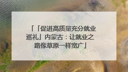 「促进高质量充分就业巡礼」内蒙古：让就业之路像草原一样宽广