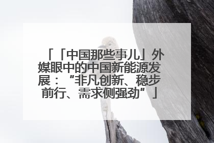 「中国那些事儿」外媒眼中的中国新能源发展：“非凡创新、稳步前行、需求侧强劲”