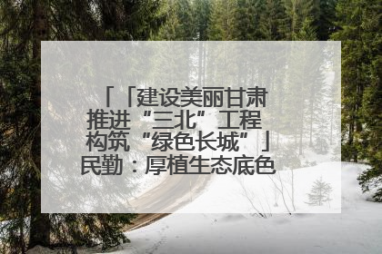 「建设美丽甘肃 推进“三北”工程 构筑“绿色长城”」民勤：厚植生态底色 筑牢绿色屏障