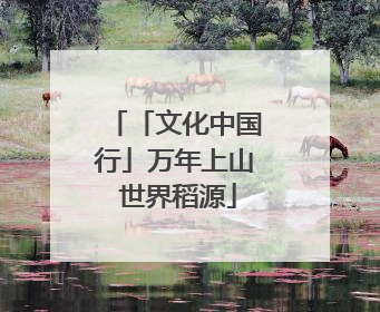 「文化中国行」万年上山 世界稻源