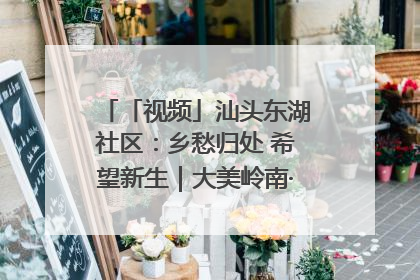 「视频」汕头东湖社区：乡愁归处 希望新生｜大美岭南·百村焕新记