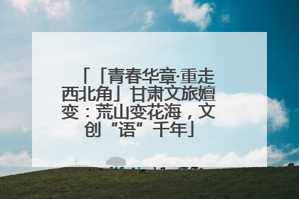 「青春华章·重走西北角」甘肃文旅嬗变：荒山变花海，文创“语”千年