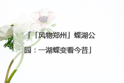 「风物郑州」蝶湖公园：一湖蝶变看今昔