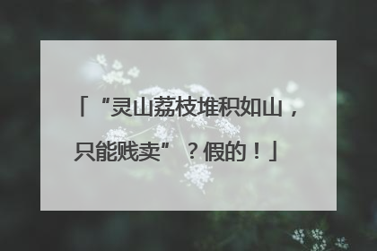 “灵山荔枝堆积如山，只能贱卖”？假的！