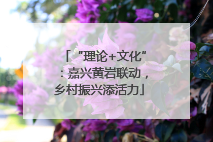 “理论+文化”：嘉兴黄岩联动，乡村振兴添活力