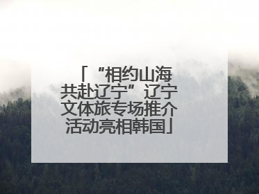 “相约山海 共赴辽宁”辽宁文体旅专场推介活动亮相韩国