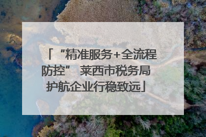 “精准服务+全流程防控” 莱西市税务局护航企业行稳致远