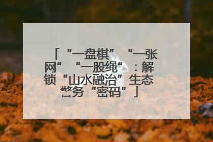 “一盘棋”“一张网”“一股绳”：解锁“山水融治”生态警务“密码”