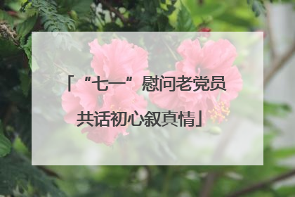 “七一”慰问老党员 共话初心叙真情