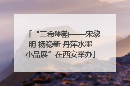 “三希墨韵——宋黎明 杨稳新 丹萍水墨小品展”在西安举办