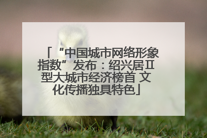 “中国城市网络形象指数”发布：绍兴居Ⅱ型大城市经济榜首 文化传播独具特色