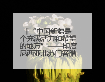 “中国新疆是一个充满活力和希望的地方”——印度尼西亚北苏门答腊省伊斯兰教代表团参访新疆