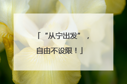 “从宁出发”，自由不设限！