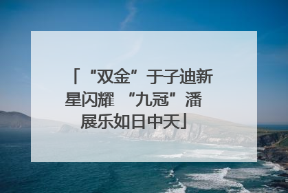 “双金”于子迪新星闪耀 “九冠”潘展乐如日中天