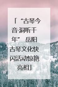 “古琴今音·洞听千年” 岳阳古琴文化快闪活动惊艳亮相