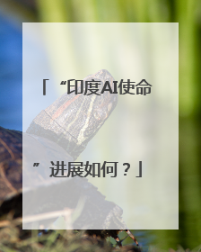 “印度AI使命”进展如何？