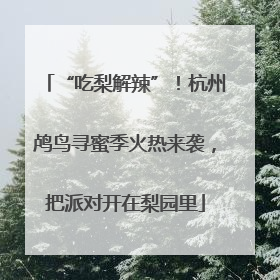 “吃梨解辣”！杭州鸬鸟寻蜜季火热来袭，把派对开在梨园里