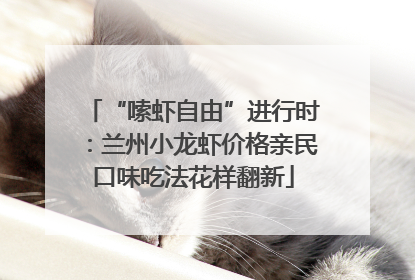 “嗦虾自由”进行时：兰州小龙虾价格亲民口味吃法花样翻新