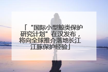 “国际小型鲸类保护研究计划”在汉发布，将向全球推介落地长江江豚保护经验