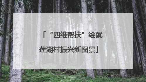 “四维帮扶”绘就莲湖村振兴新图景