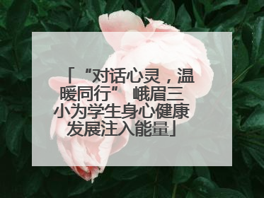 “对话心灵，温暖同行” 峨眉三小为学生身心健康发展注入能量