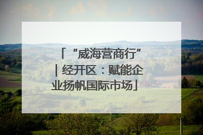 “威海营商行”｜经开区：赋能企业扬帆国际市场