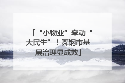 “小物业”牵动“大民生”！舞钢市基层治理显成效