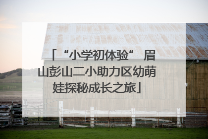 “小学初体验” 眉山彭山二小助力区幼萌娃探秘成长之旅