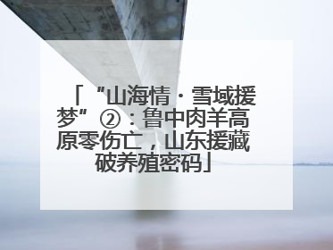 “山海情・雪域援梦”②：鲁中肉羊高原零伤亡，山东援藏破养殖密码