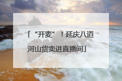 “开麦”！延庆八道河山货卖进直播间