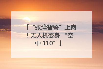 “张湾智警”上岗！无人机变身 “空中 110”