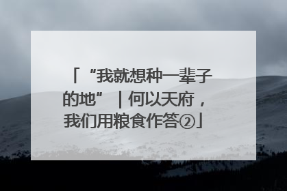 “我就想种一辈子的地”｜何以天府，我们用粮食作答②