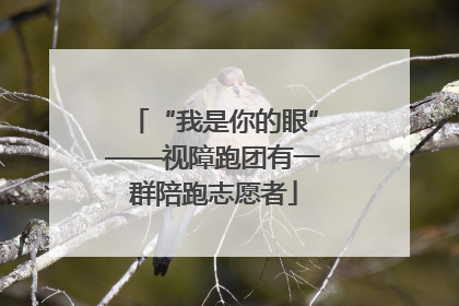 “我是你的眼”——视障跑团有一群陪跑志愿者