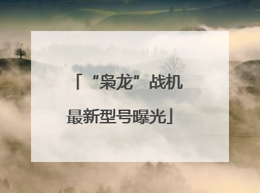 “枭龙”战机最新型号曝光