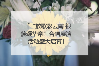 “放歌彩云南 银龄颂华章”合唱展演活动盛大启幕