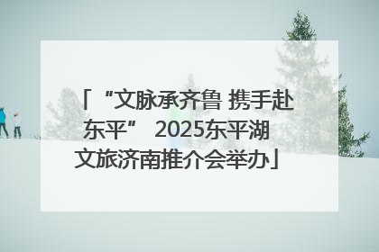 “文脉承齐鲁 携手赴东平” 2025东平湖文旅济南推介会举办