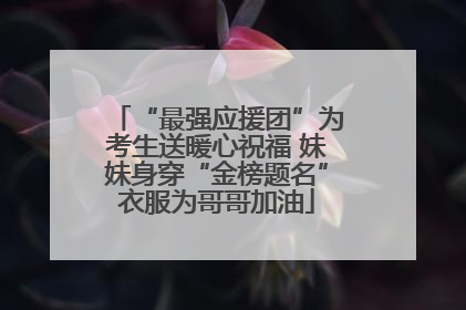 “最强应援团”为考生送暖心祝福 妹妹身穿“金榜题名”衣服为哥哥加油