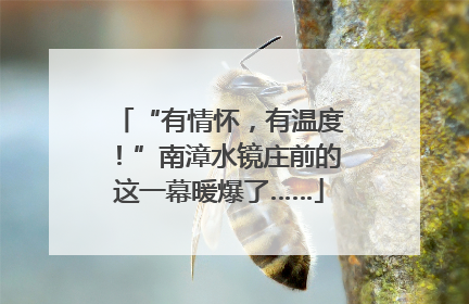 “有情怀，有温度！”南漳水镜庄前的这一幕暖爆了……