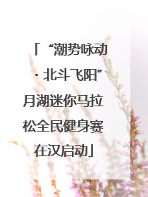 “潮势咏动・北斗飞阳”月湖迷你马拉松全民健身赛在汉启动