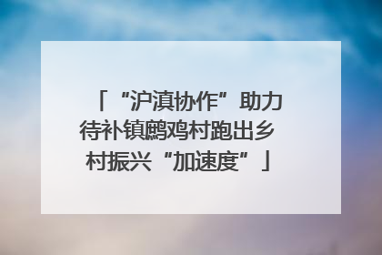“沪滇协作”助力待补镇鹧鸡村跑出乡村振兴“加速度”