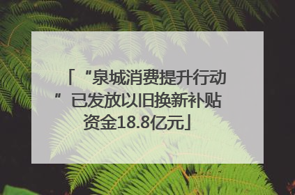 “泉城消费提升行动”已发放以旧换新补贴资金18.8亿元