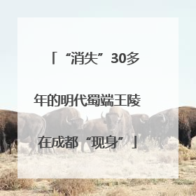 “消失”30多年的明代蜀端王陵在成都“现身”
