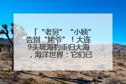 “老舅”“小姨”告别“姥爷”！大连9头斑海豹重归大海，海洋世界：它们已具备野外生存能力