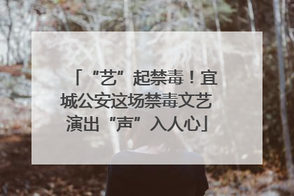 “艺”起禁毒！宜城公安这场禁毒文艺演出“声”入人心
